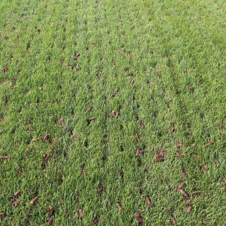 aeration-2